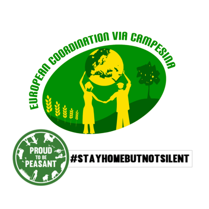 91976992_1399639083551472_4057722334885183488_o