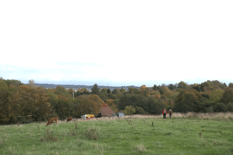 KONFERENCE OM UNGDOM, LANDBRUG OG NY&nbsp;BOG